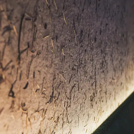 Lejlighed Ur-genuss *