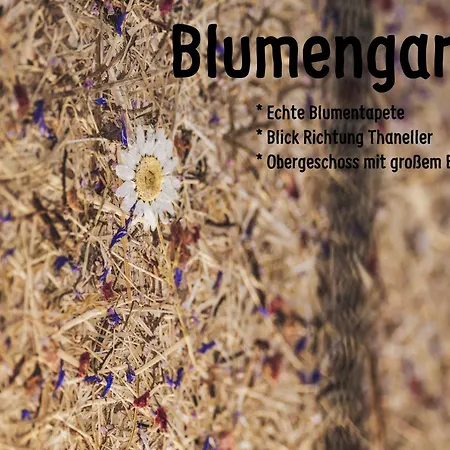 Ur-genuss Mit Wein & Weitblick Apartamento Heiterwang
