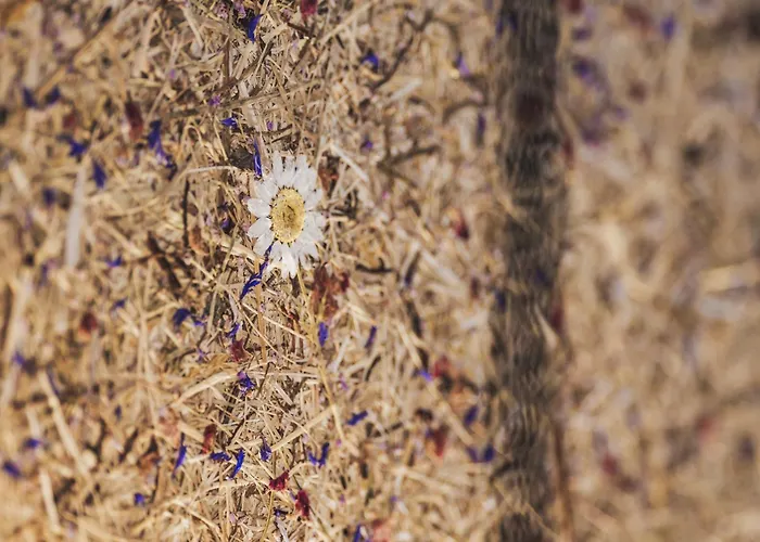 アパート Ur-genuss