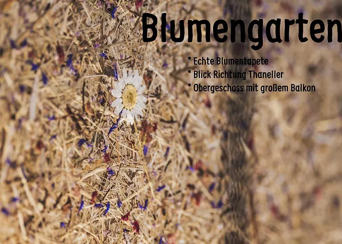 Ur-genuss アパート ハイターヴァング